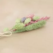 Fleurs de Phalaris Lavande séchées pour création diy x10 tiges