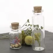 Fleurs de Phalaris Lavande séchées pour création diy x10 tiges