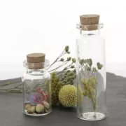 Fleur de Coton séchée sur petite tige pour création diy x1 tige