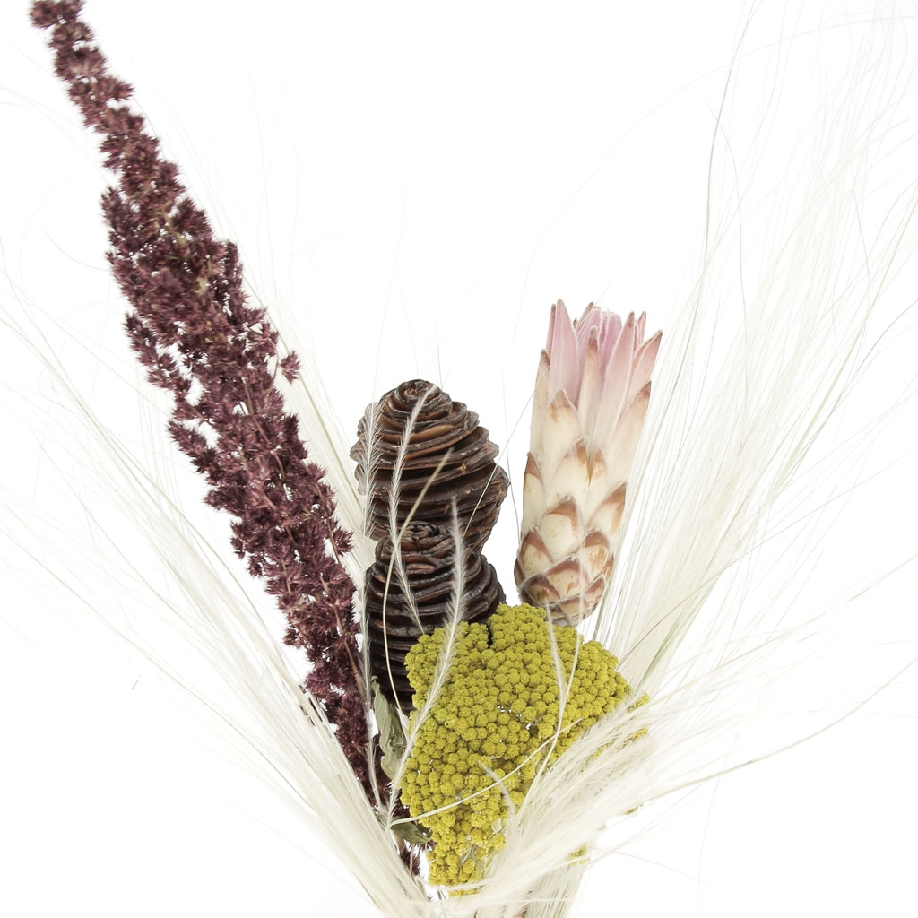 30 Tiges De Coton Naturel Séchées - 30-36cm Avec Fleurs - Décoration Rustique Pour Vase Ou DIY