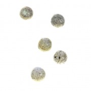 Cabochons ronds 4 mm à coller ou à sertir Labradorite x5