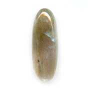 Cabochon ovale 22x8 mm Labradorite