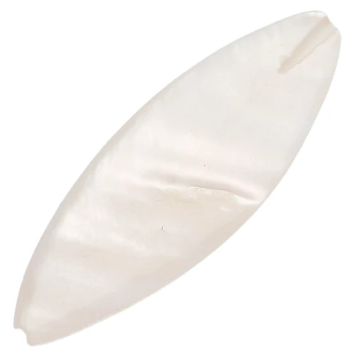 Perles plates ovales en nacre 30x10 mm x6