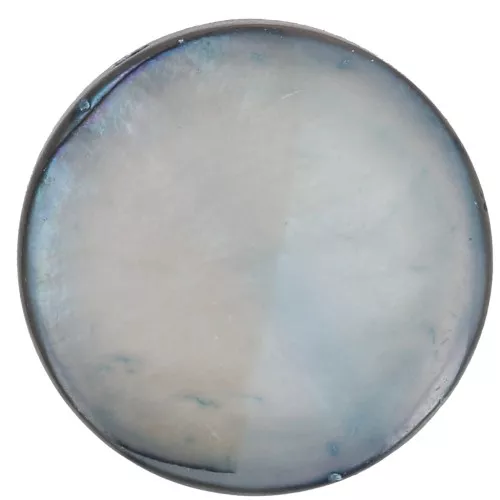 Perles plates rondes en nacre 12 mm Gris x10