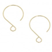 Crochets d'oreilles 23 mm en Gold filled (or laminé)  x2|raw }}