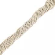 Charlottes Preciosa 13/0 - Argenté x10g