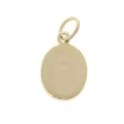 Breloque ovale motif oiseaux 15x9.5 mm Plaqué Or 3 microns x1