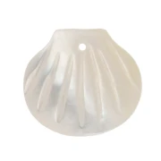Sequin coquillage 10x11 mm - Nacre x1