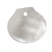 Sequin coquillage 10x11 mm - Nacre x1