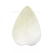 Goutte pétale en Nacre 13.5x10 mm x1
