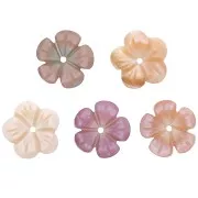 Fleur Nacre 10 mm Rose x1