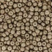 Rocaille Miyuki 11/0 2091 - Met Tarnished Silver Mat x8g