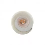 Perle coquillage 15 x 8 mm pour la création de bijoux fantaisie x1