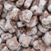 Perles en verre Ginko Duo 2 trous 7.5x7.5 mm Opaque Copper Splash x10g