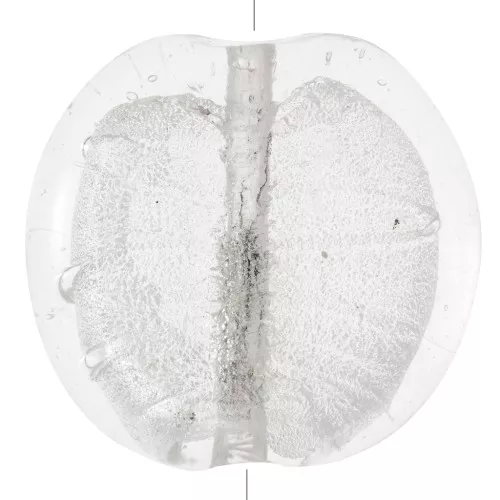 Perles plates - palets - feuille d'argent 35 mm Crystal x1