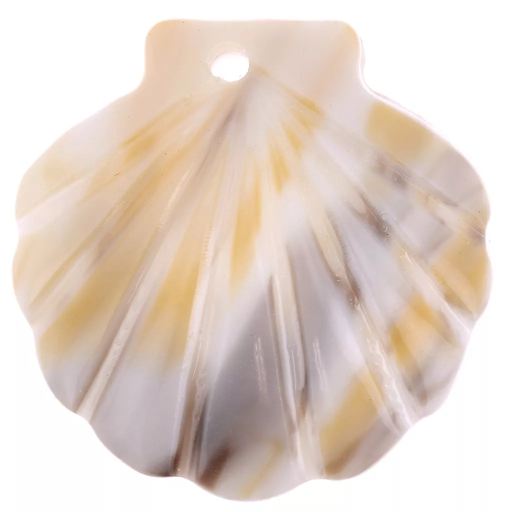 Lot De 60 Pendentifs Coquillage Naturel - Avec Boucle Dorée - Pour Création Bijoux DIY - Thème Océan