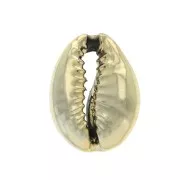 Coquillage Cauri finition dorée pour la création de bijoux DIY - 12 à 20 mm x 1