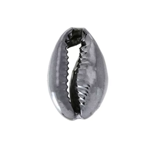 Coquillage Cauri finition black pour la création de bijoux DIY - 12 à 20 mm x 1