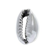 Coquillage Cauri finition argentée pour la création de bijoux DIY - 12 à 20 mm x 1