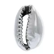 Coquillage Cauri finition argentée pour la création de bijoux DIY - 16 à 23 mm x 1