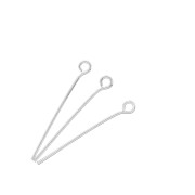 Clous tête ronde 25x0.70 mm - Placage Argent fin x 25|raw }}