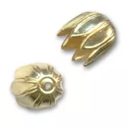 Coquille tulipe  9 mm doré à l'or fin x1