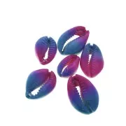 Coquillage Cauri dégradé rose/bleu - effet tie and dye - 20 à 26mm x1