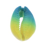 Coquillage Cauri dégradé bleu/jaune - effet tie and dye - 20 à 26mm x1|raw }}