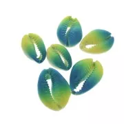 Coquillage Cauri dégradé bleu/jaune - effet tie and dye - 20 à 26mm x1