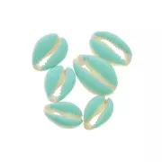 Coquillage Cauri avec résine époxy Bleu ciel pour création de bijoux 20 à 25mm x1