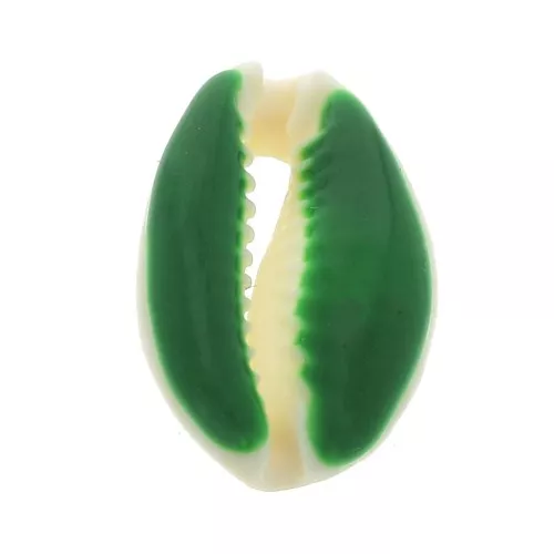 Coquillage Cauri avec résine époxy Vert pour la création de bijoux - 20 à 25mm x1