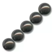 Perles nacrées PureCrystal 5810 6 mm Deep Brown Pearl x10