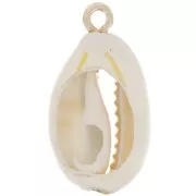 Pendentif coquillage cauri 21 mm Naturel - Doré x1