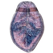 Feuilles ondulées 14x9 mm Lumi Amethyst x20