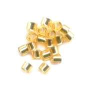 Miyuki Delica 15/0 DBS0042 - Gold Silver Lined x5g