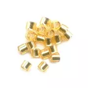 Miyuki Delica 15/0 DBS0042 - Gold Silver Lined x5g