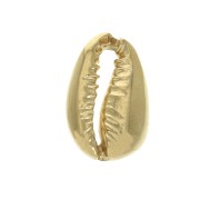 Intercalaire coquillage Cauri 14x9 mm - Plaqué Or 3 microns x1|raw }}