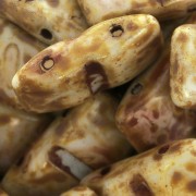 Perles verre tchèque Carrier Bead Groove 2trous 9x17 mm Opaque Dark Travertin x10