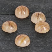 Cabochon en résine imitation pierre gemme 6 mm Quartz Rutile x1