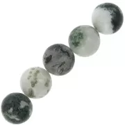 Perles rondes en pierre gemme 10 mm Tree Agate x5