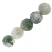 Perles rondes en pierre gemme 4 mm Tree Agate x20