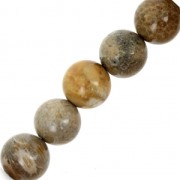 Perles Corail Fossilisé 10 mm x5