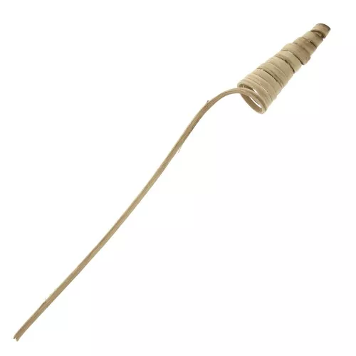 Cane Cone naturel - fleur séchée pour création DIY x1 tige