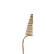 Cane Cone naturel - fleur séchée pour création DIY x1 tige