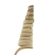 Cane Cone naturel - fleur séchée pour création DIY x1 tige