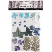 Assortiment de fleurs séchées et pressées pour création diy - Bleu x1|raw }}