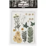 Assortiment de fleurs séchées et pressées pour création diy - Blanc x1