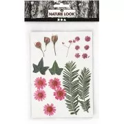 Assortiment de fleurs séchées et pressées pour création diy - Rose x1