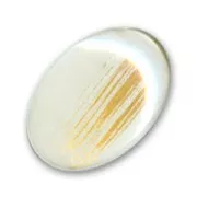 Cabochon ovale 18x13 mm White/Gold x1