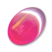 Cabochon ovale 18x13 mm Rose/Gold x1
